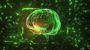 Brain plasticity and neural connections